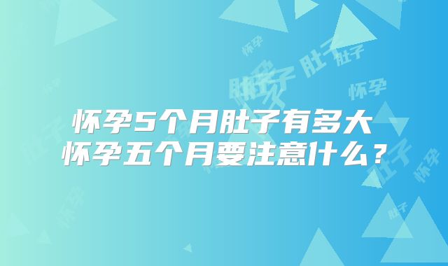 怀孕5个月肚子有多大 怀孕五个月要注意什么?