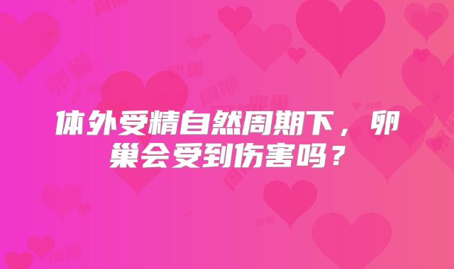 体外受精自然周期下，卵巢会受到伤害吗？
