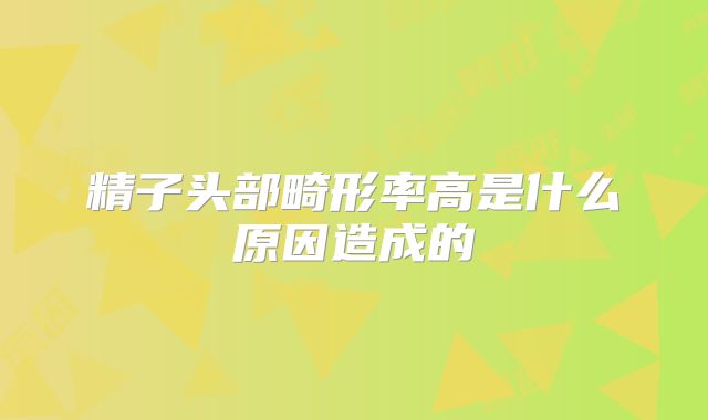 精子头部畸形率高是什么原因造成的