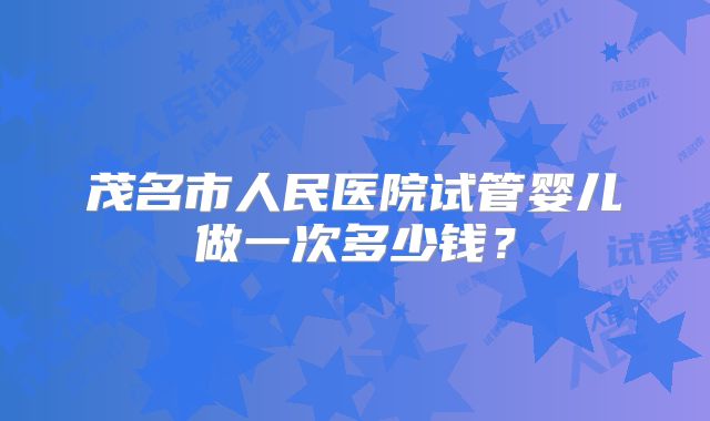 茂名市人民医院试管婴儿做一次多少钱?