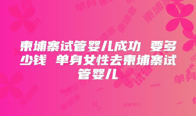 柬埔寨试管婴儿成功 要多少钱 单身女性去柬埔寨试管婴儿