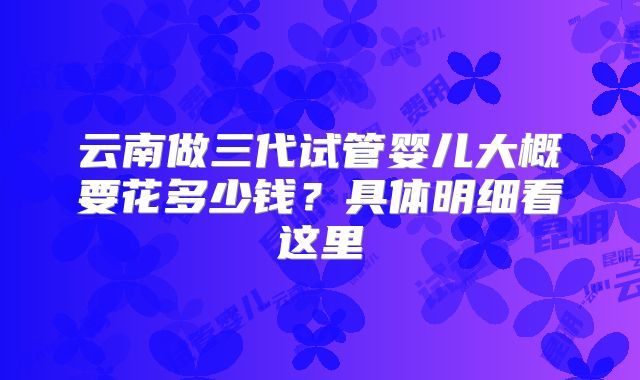 云南做三代试管婴儿大概要花多少钱?具体明细看这里