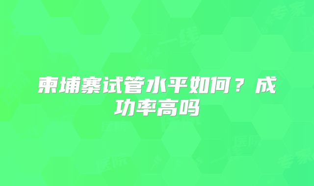 柬埔寨试管水平如何?成功率高吗