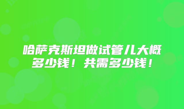 哈萨克斯坦做试管儿大概多少钱!共需多少钱!