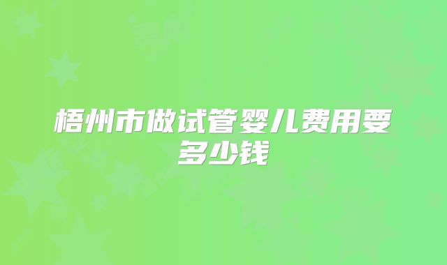 梧州市做试管婴儿费用要多少钱