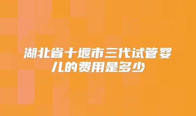 湖北省十堰市三代试管婴儿的费用是多少