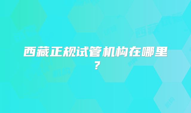 西藏正规试管机构在哪里？
