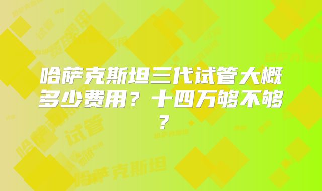 哈萨克斯坦三代试管大概多少费用？十四万够不够？