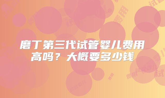 磨丁第三代试管婴儿费用高吗？大概要多少钱
