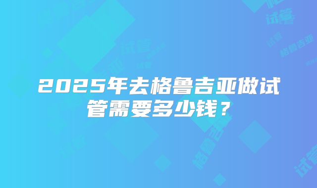 2025年去格鲁吉亚做试管需要多少钱?
