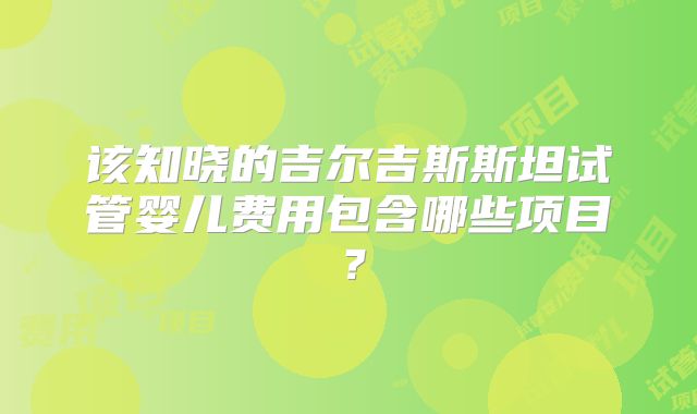 该知晓的吉尔吉斯斯坦试管婴儿费用包含哪些项目？