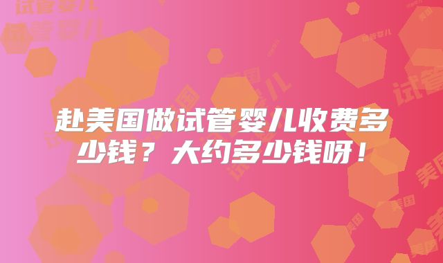 赴美国做试管婴儿收费多少钱？大约多少钱呀！