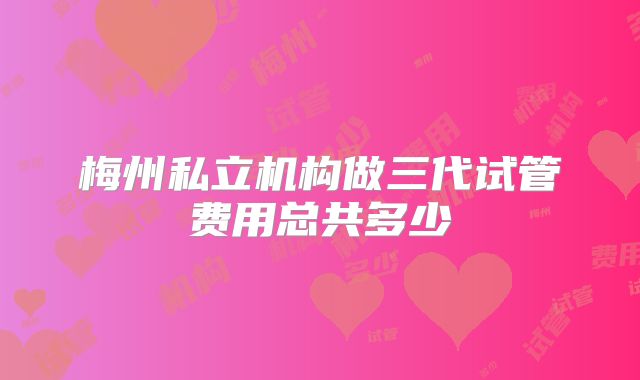 梅州私立机构做三代试管费用总共多少