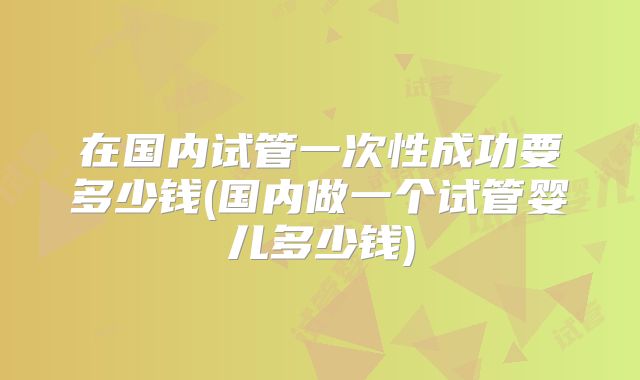 在国内试管一次性成功要多少钱(国内做一个试管婴儿多少钱)
