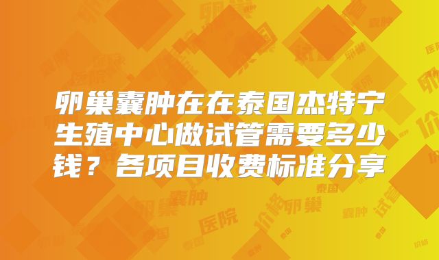 卵巢囊肿在在泰国杰特宁生殖中心做试管需要多少钱?各项目收费标准分享