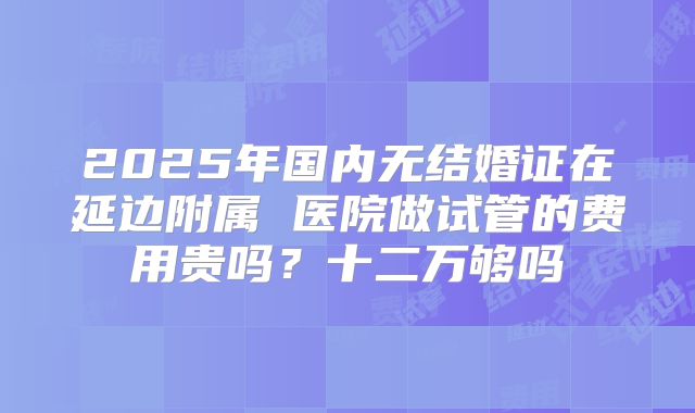 2025年国内无结婚证在延边附属 医院做试管的费用贵吗?十二万够吗