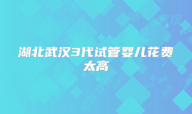 湖北武汉3代试管婴儿花费太高
