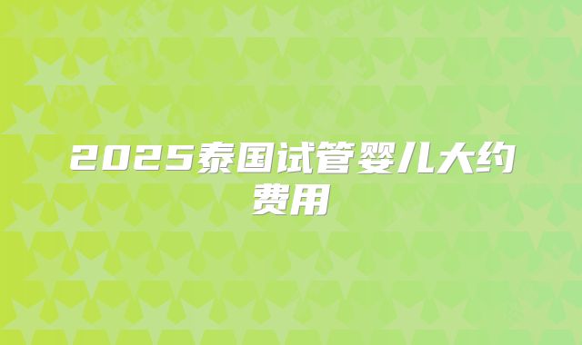 2025泰国试管婴儿大约费用