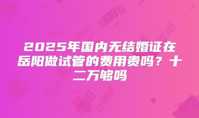 2025年国内无结婚证在岳阳做试管的费用贵吗?十二万够吗