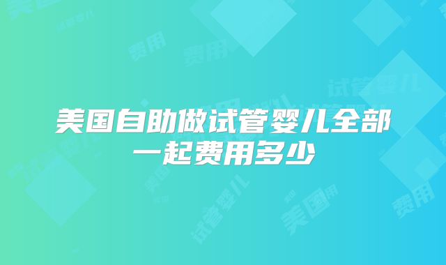 美国自助做试管婴儿全部一起费用多少