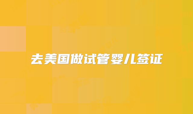 去美国做试管婴儿签证