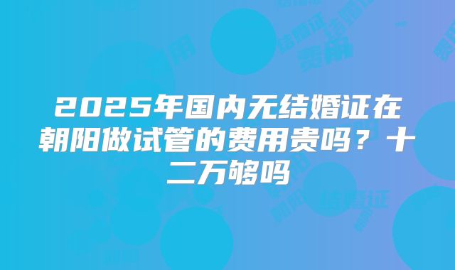 2025年国内无结婚证在朝阳做试管的费用贵吗?十二万够吗