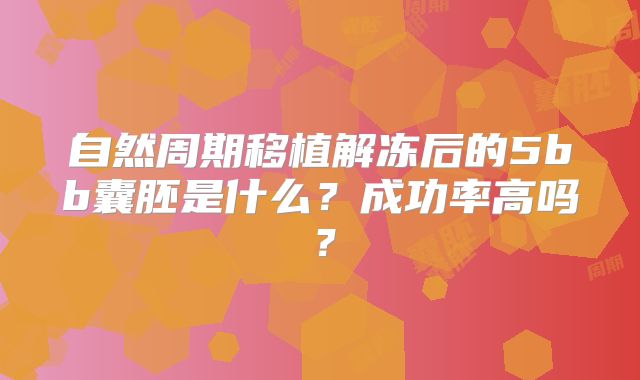 自然周期移植解冻后的5bb囊胚是什么?成功率高吗?