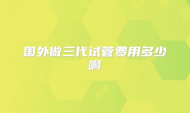 国外做三代试管费用多少啊