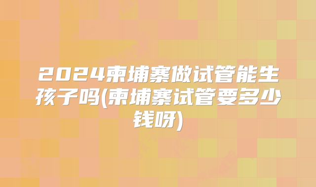 2024柬埔寨做试管能生孩子吗(柬埔寨试管要多少钱呀)