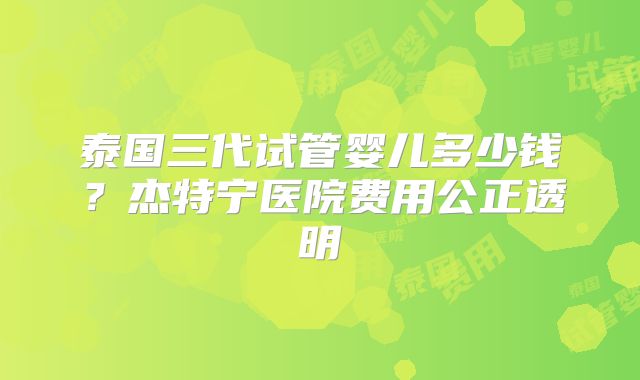 泰国三代试管婴儿多少钱？杰特宁医院费用公正透明