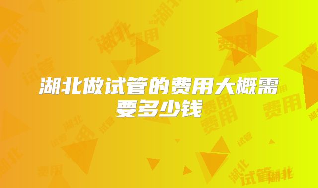 湖北做试管的费用大概需要多少钱