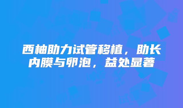 西柚助力试管移植,助长内膜与卵泡,益处显著
