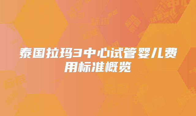 泰国拉玛3中心试管婴儿费用标准概览