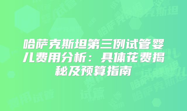 哈萨克斯坦第三例试管婴儿费用分析：具体花费揭秘及预算指南