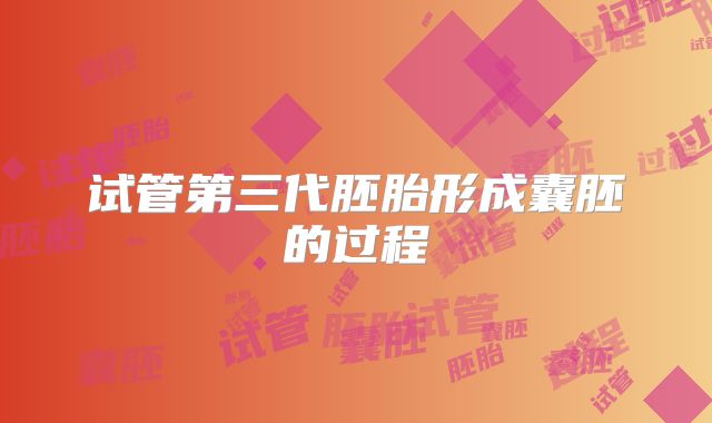 试管第三代胚胎形成囊胚的过程