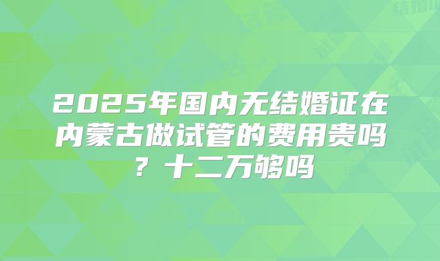 2025年国内无结婚证在内蒙古做试管的费用贵吗?十二万够吗
