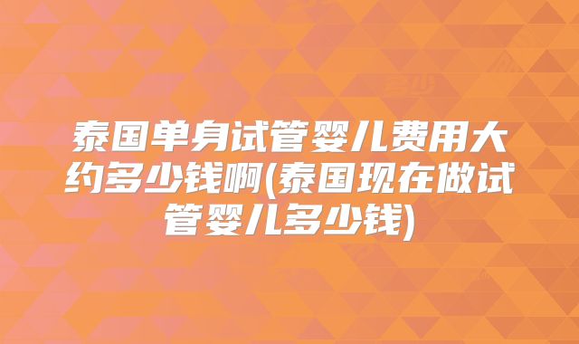 泰国单身试管婴儿费用大约多少钱啊(泰国现在做试管婴儿多少钱)