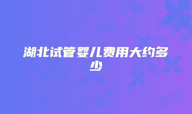 湖北试管婴儿费用大约多少