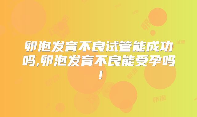 卵泡发育不良试管能成功吗,卵泡发育不良能受孕吗!