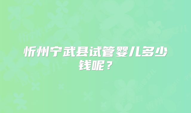 忻州宁武县试管婴儿多少钱呢？