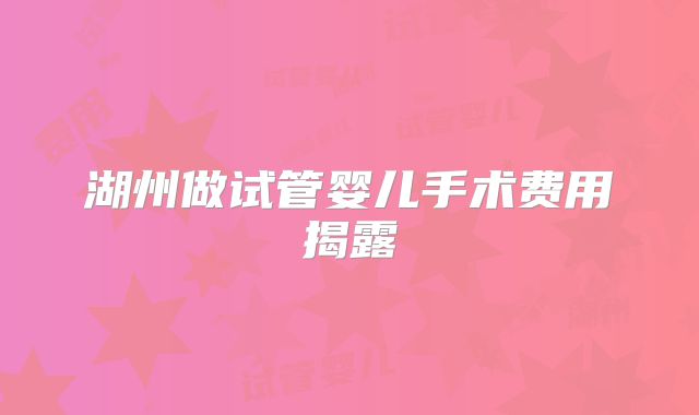 湖州做试管婴儿手术费用揭露