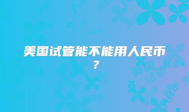美国试管能不能用人民币？