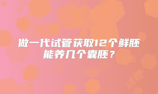 做一代试管获取12个鲜胚能养几个囊胚?