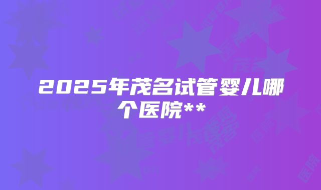 2025年茂名试管婴儿哪个医院**