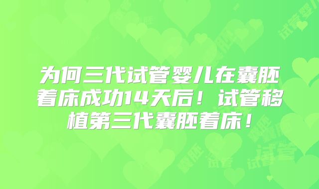 为何三代试管婴儿在囊胚着床成功14天后！试管移植第三代囊胚着床！
