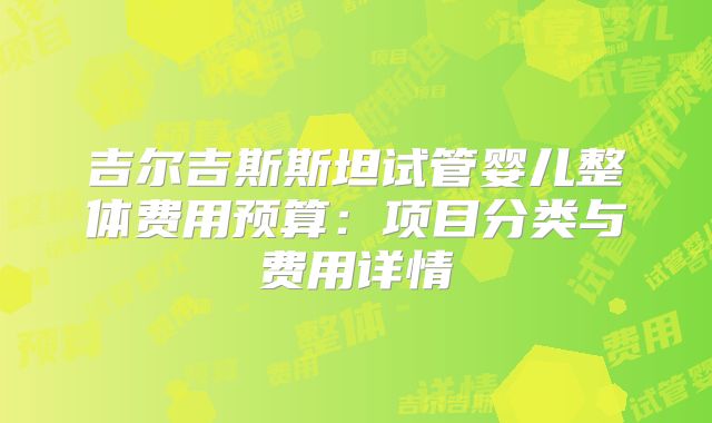 吉尔吉斯斯坦试管婴儿整体费用预算:项目分类与费用详情