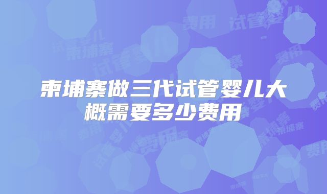 柬埔寨做三代试管婴儿大概需要多少费用