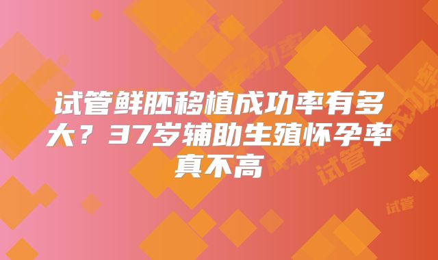 试管鲜胚移植成功率有多大？37岁辅助生殖怀孕率真不高