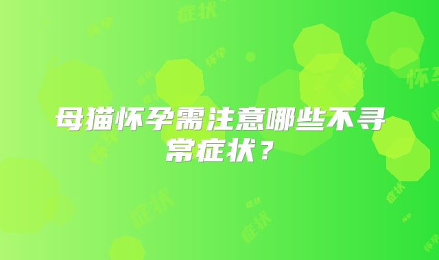 母猫怀孕需注意哪些不寻常症状？