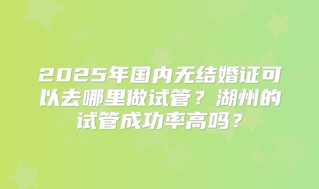 2025年国内无结婚证可以去哪里做试管?湖州的试管成功率高吗?